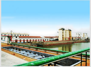 山东海王集团主营业务为原盐,溴素以及溴化物的研发,生产和销售.
